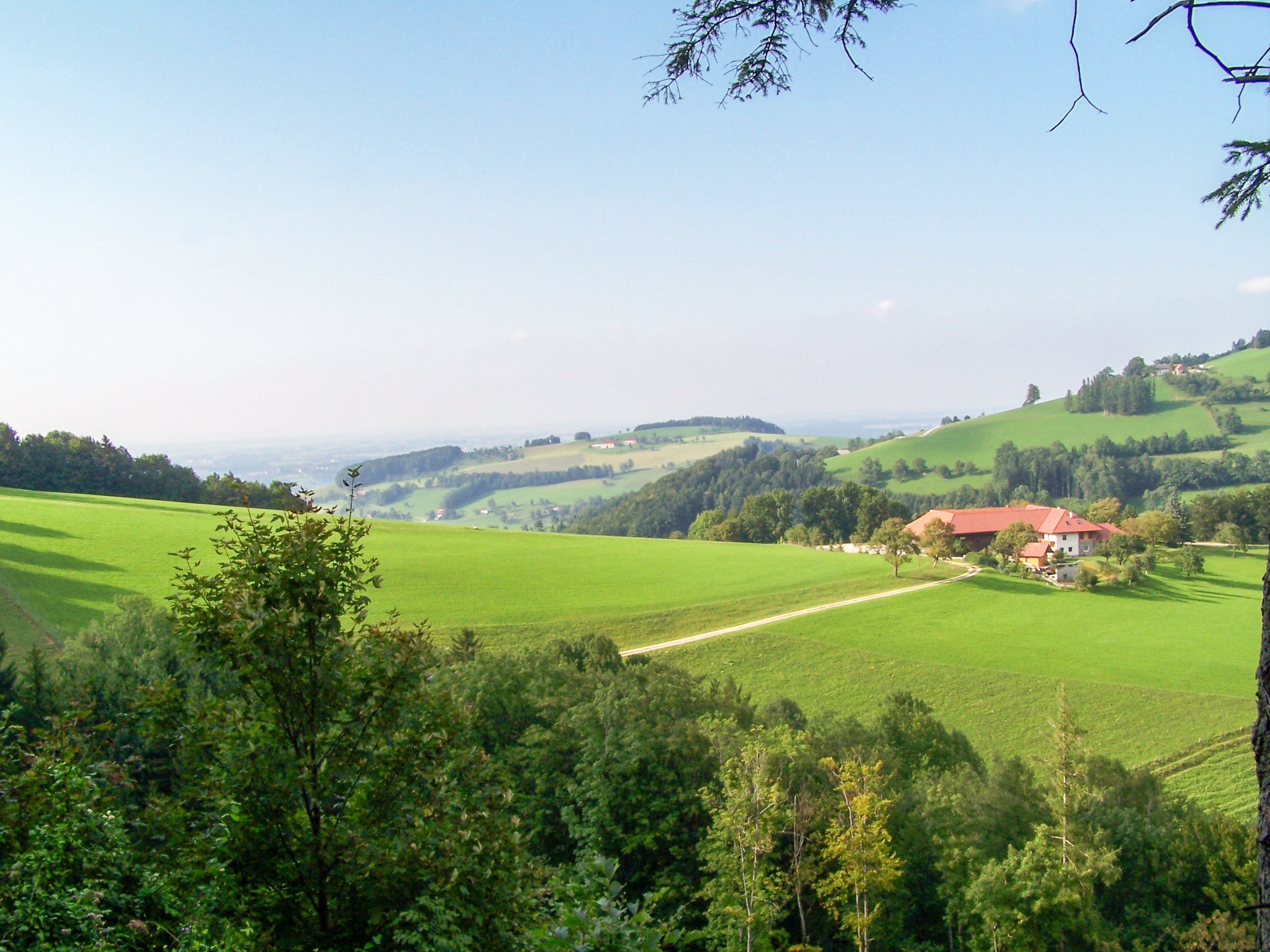 Winterhochzeit - Geeignet für: Hochzeit - Rieglergut