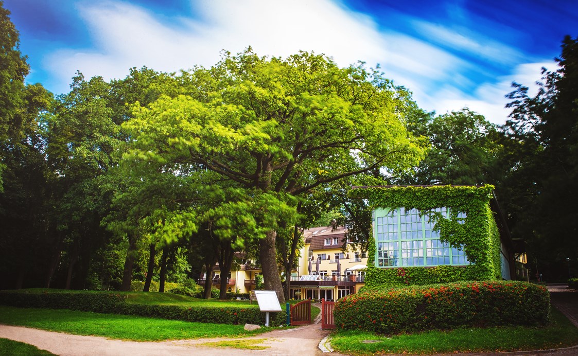 Hochzeitslocation: Kurhausgarten mit historischem Pavillon - Kurhaus am Inselsee
