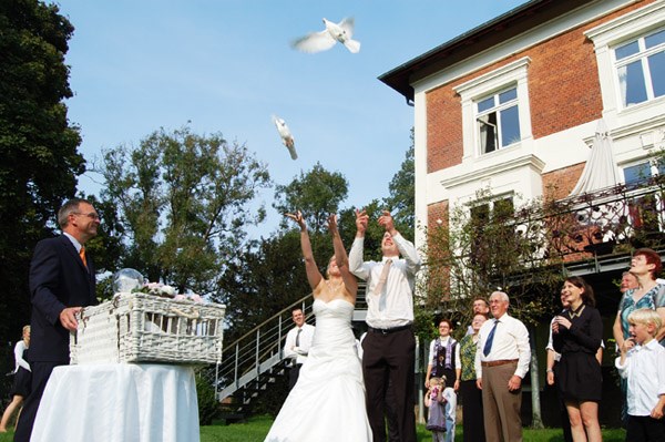 Hochzeitslocation: Taubenshow vor dem Gutshaus Groß Siemen - Gut Gross Siemen