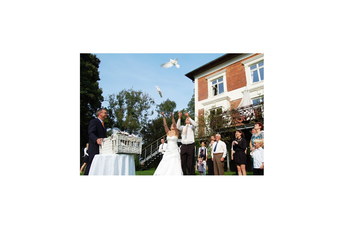 Hochzeitslocation: Taubenshow vor dem Gutshaus Groß Siemen - Gut Gross Siemen