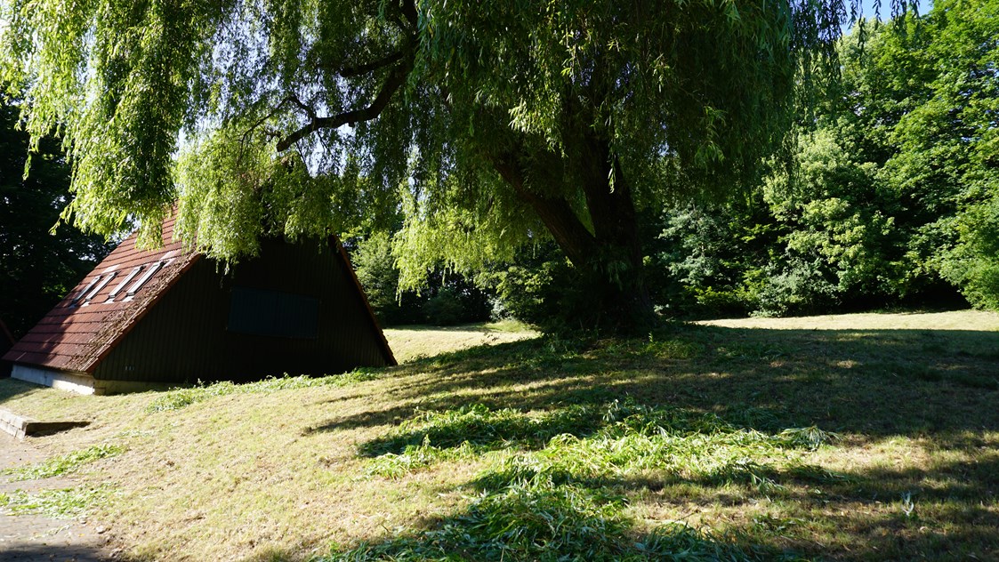 Hochzeitslocation: Waldhütte und Platz für eine freie Trauung - HABITAT - Die Mietlocation in Esslingen bei Stuttgart