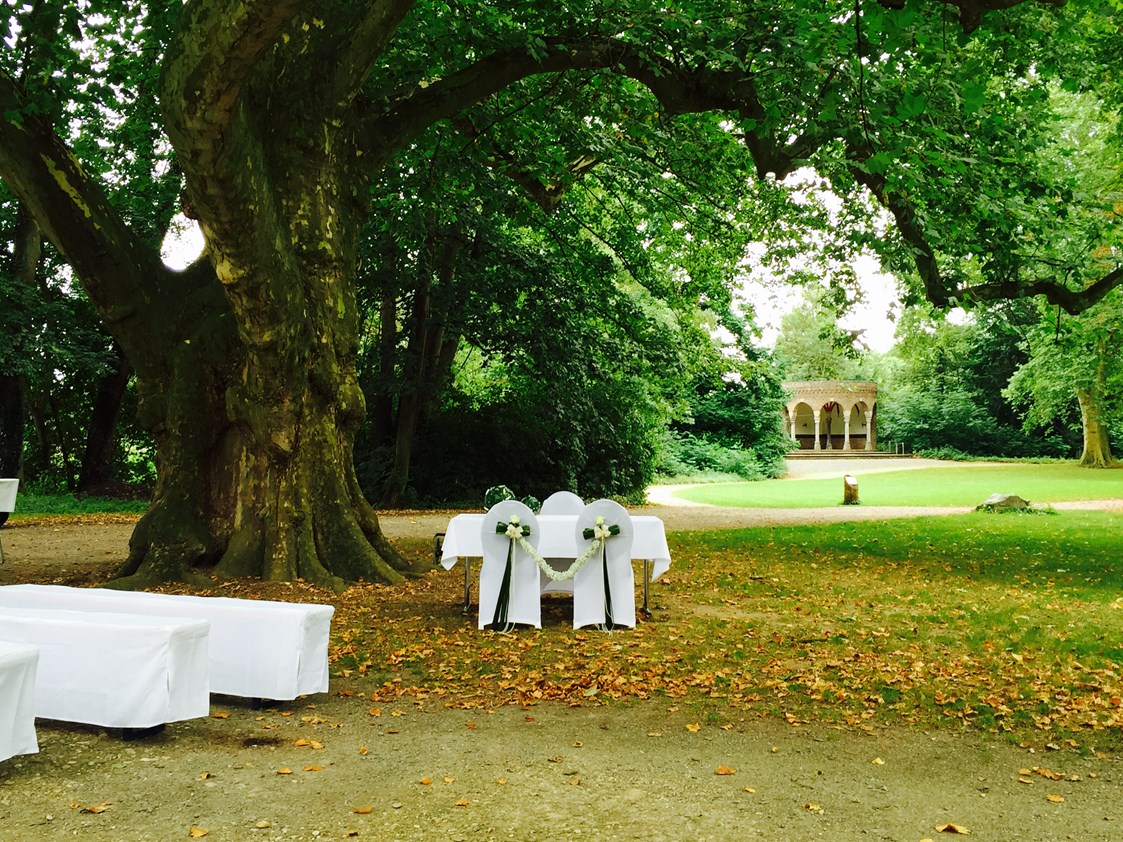 Hochzeitslocation: Alternative zum Pavillon... ene Trauung an unserem schönen Mammutbaum mitten im großzügigen Schlosspark  - Brasserie Schloss Paffendorf