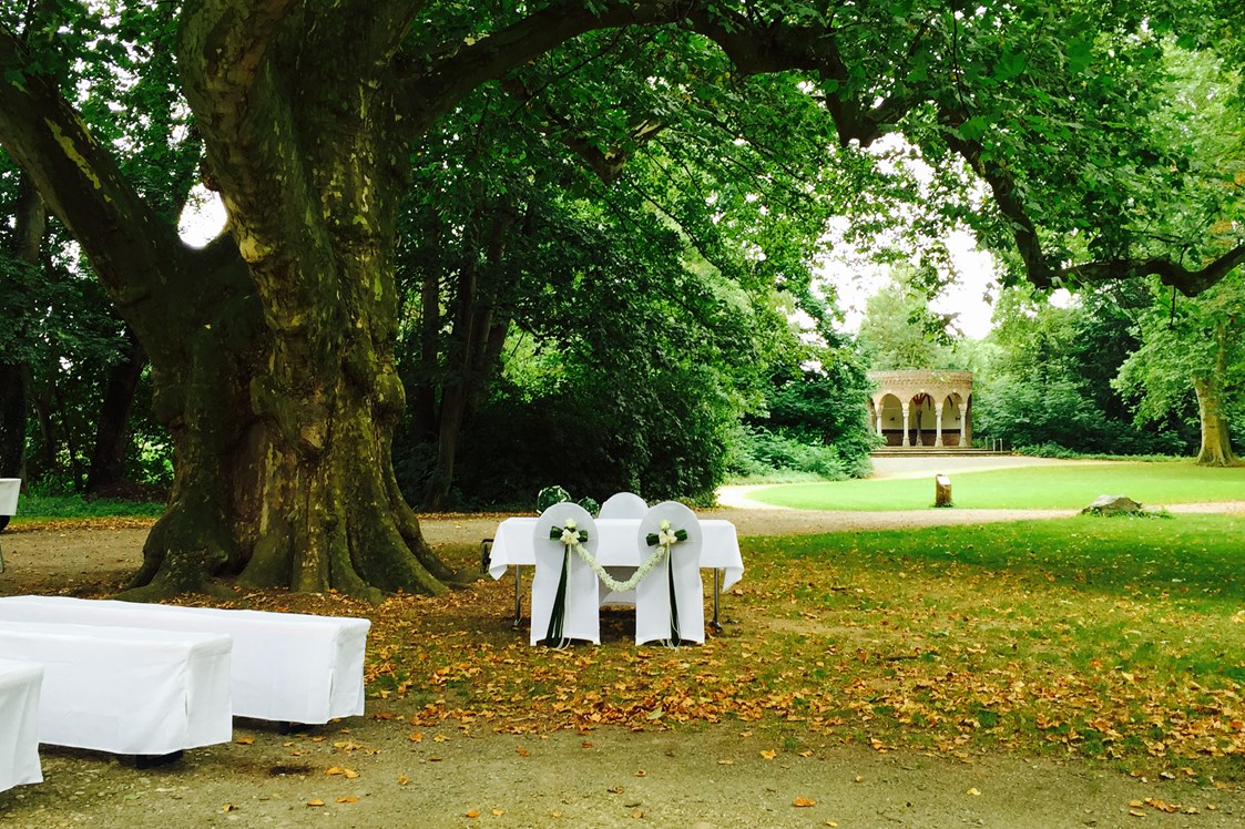 Hochzeitslocation: Alternative zum Pavillon... ene Trauung an unserem schönen Mammutbaum mitten im großzügigen Schlosspark  - Brasserie Schloss Paffendorf