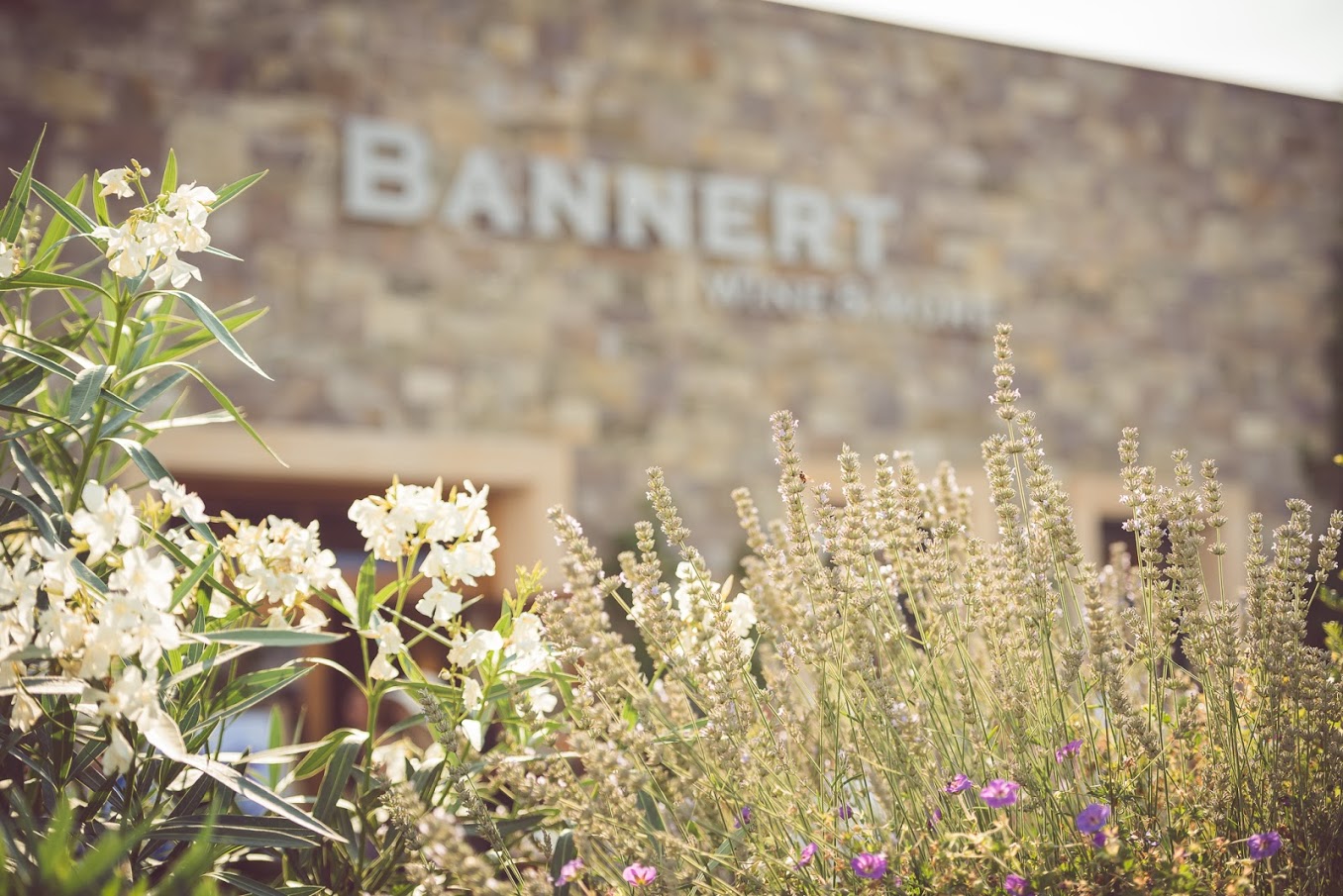 Hochzeitslocation: Weingut BANNERT